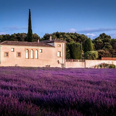 Le Mas Des Sorcières - Maison d'hôtes Valréas Esterno foto