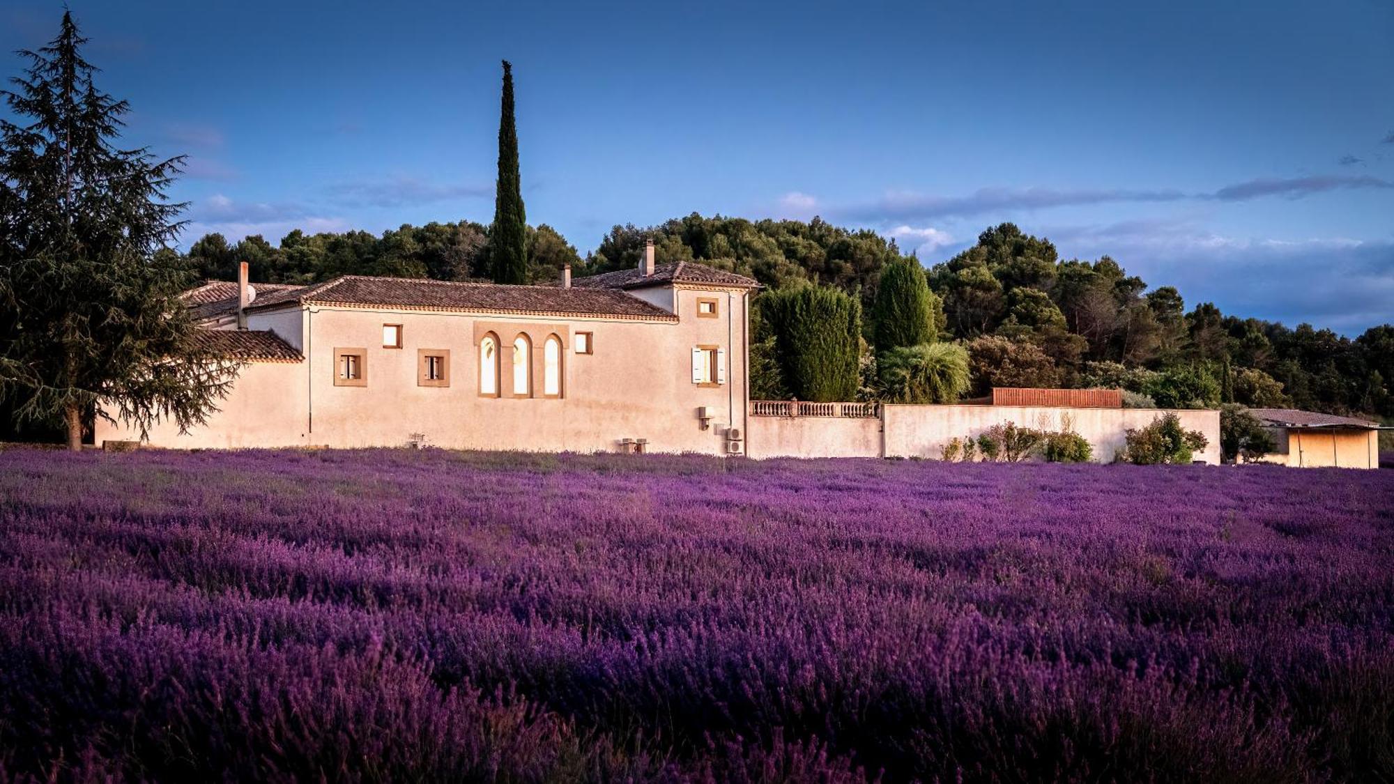 Le Mas Des Sorcières - Maison d'hôtes Valréas Esterno foto